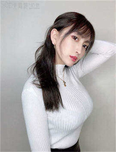 攻壳机动队第二季